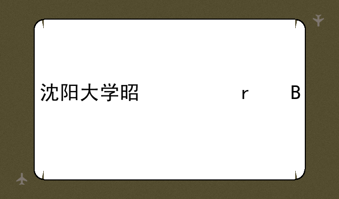沈阳大学是一本吗