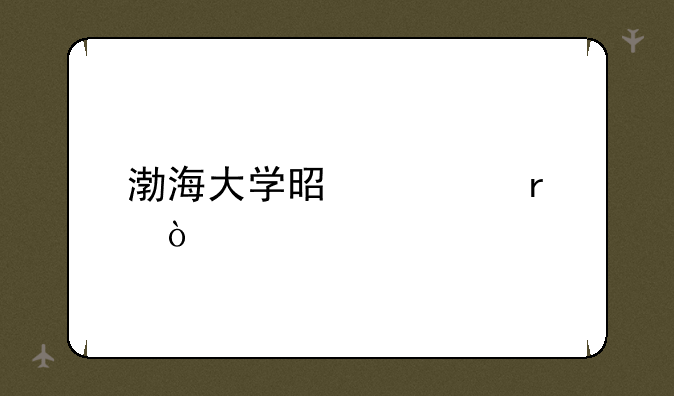 渤海大学是几本？