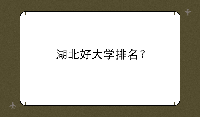 湖北好大学排名？