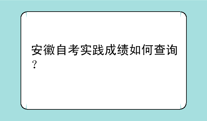安徽自考实践成绩如何查询？