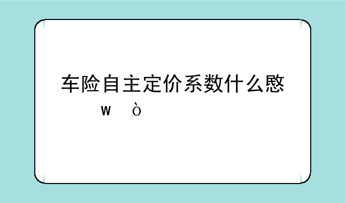 车险自主定价系数什么意思？