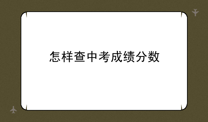 怎样查中考成绩分数
