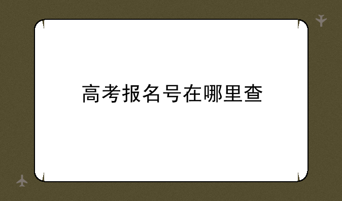 高考报名号在哪里查