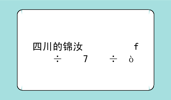 四川的锦江学院好不好？