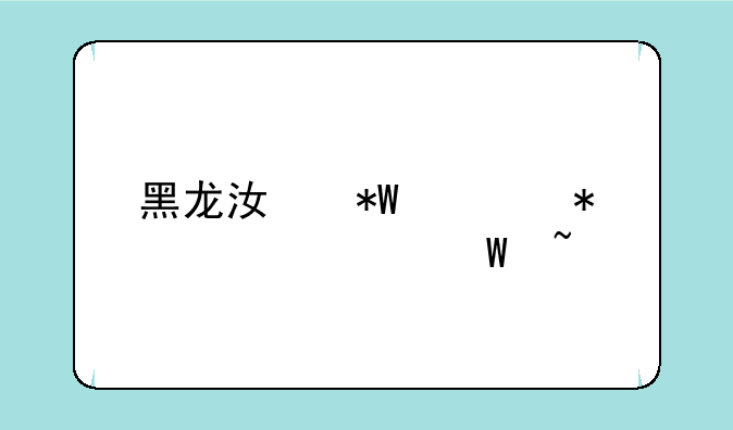 黑龙江投档状态如何查询