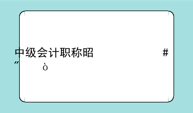 中级会计职称是什么级别？