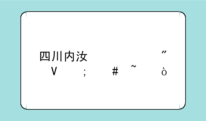 四川内江中考分数怎么查？