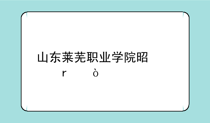 山东莱芜职业学院是几本？