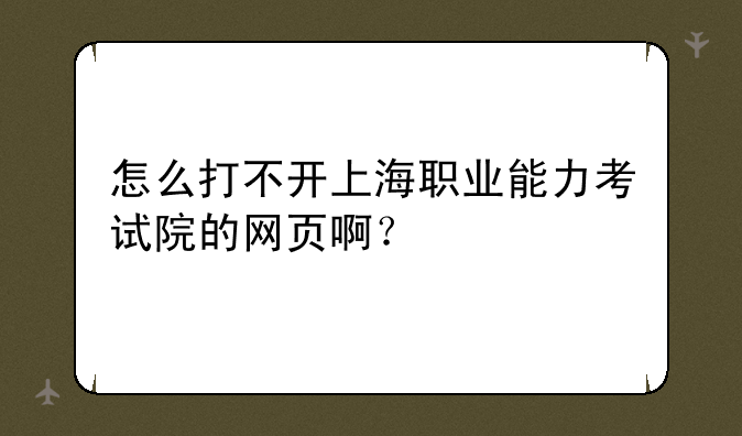 怎么打不开上海职业能力考试院的网页啊？