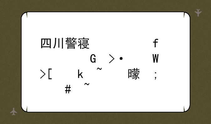 四川警察学院预科班录取通知书怎么查