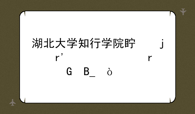 湖北大学知行学院真的有自考本科吗？