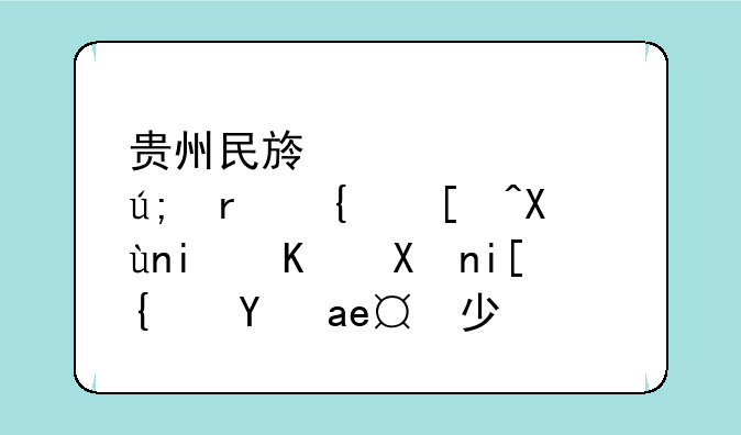 贵州民族大学美术类录取最低分数线是多少？